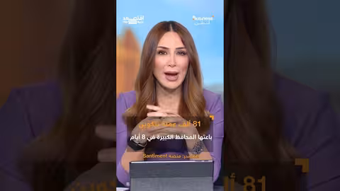 انهيار البتكوين: خسائر تتجاوز 450 مليار دولار في 3 أسابيع