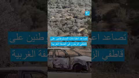 تحديات قطاف الزيتون في الضفة الغربية وسط اعتداءات المستوطنين