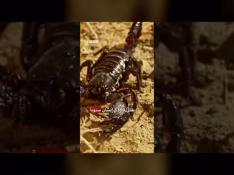 قائمة بأخطر عشر حيوانات تشكل خطراً على البشر