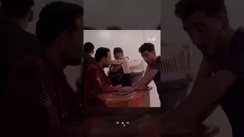 مقلب قط يدور فتة لبن بأرقى المطاعم ه اضحك من قلبك، اكسبلور، اليمن، المهرية
