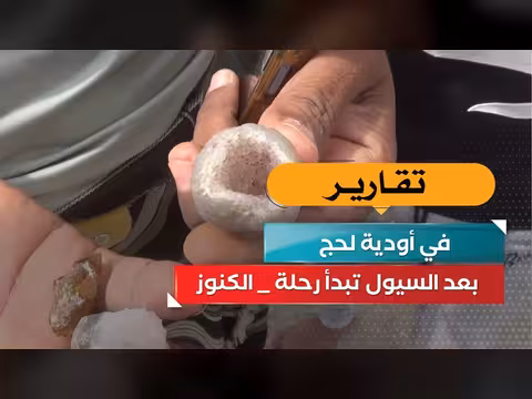 رحلة البحث عن الكنوز في أودية لحج بعد السيول