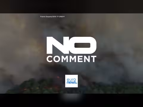 حريق غابات ضخم جنوب باريس خلال موجة حر