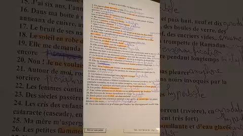 1bac la boîte à merveilles toutes les figures de style تمارين مع التصحيح مراجعة للإمتحان الجهوي
