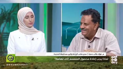 أرضنا مستقبل زراعة السمسم في تهامة