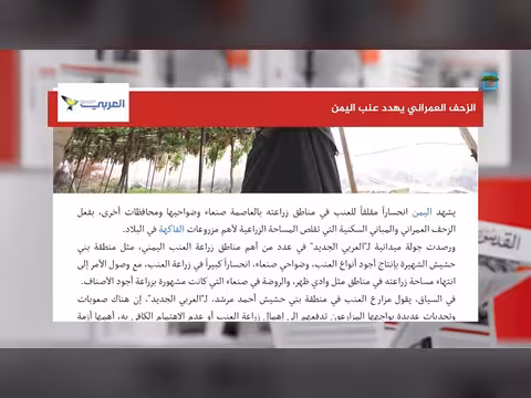 الزحف العمراني يهدد مساحات زراعة العنب في اليمن