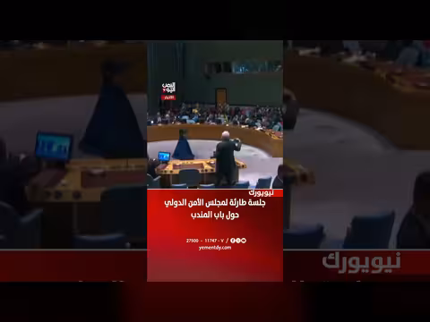 جلسة طارئة لمجلس الأمن الدولي حول باب المندب بنيويورك