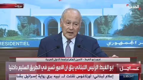 أبو الغيط يستبعد عودة الحرب في لبنان