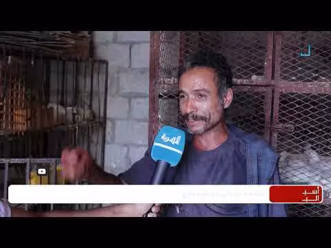 نظام الطيبات يسبب خسائر في سوق الدجاج والبيض في تعز