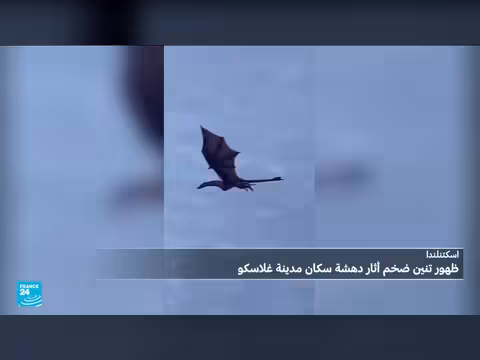 ظهور تنين في غلاسكو يثير الفضول