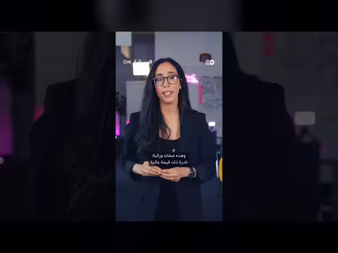 بذور مغربية في قبو يوم القيامة