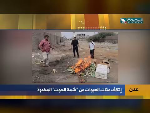 إتلاف hundreds من شمة الحوت المخدرة في عدن