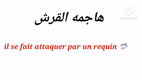 des expressions indispensables que les français utilisent tous les jours جمل جاهزة من الحياة اليومية