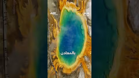 النبع المنشوري الكبير