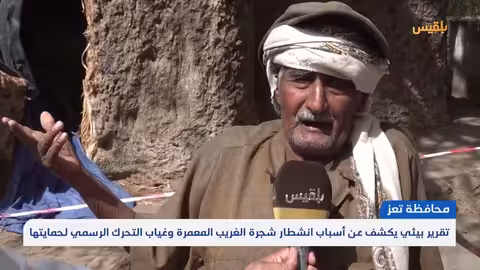 تعز.. تقرير بيئي يكشف عن أسباب انشطار شجرة الغريب وغياب التحرك الرسمي لحمايتها تقرير: إبراهيم سعيد