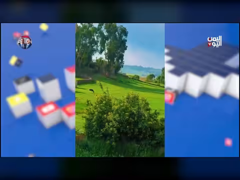 المحويت اليمنية تخطف الأنظار بجمالها الساحر كأنها سويسرا