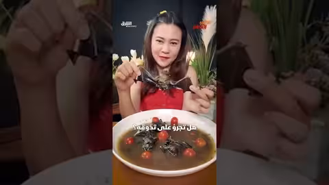 حساء الخفافيش