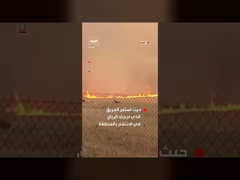خيول تهرب من حريق غابات شمال غرب أثينا