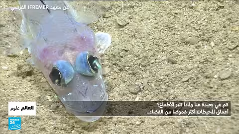 أعماق المحيطات: عالم مجهول ومخاطر تهدده