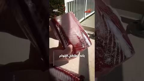طبق لحم سمك القرش المتخمر