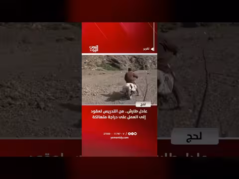 عادل طارش.. من التدريس إلى العمل على دراجة متهالكة