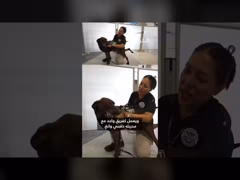 كلب كشف المتفجرات يفوز بلقب الأكثر لطفاً بين 86 منافساً