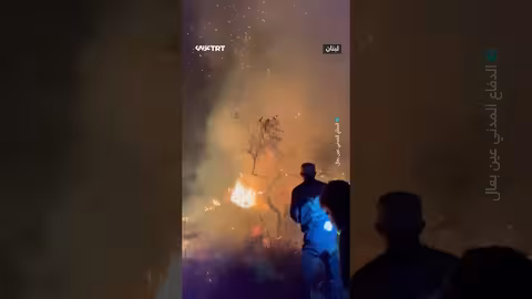 لبنان: الدفاع المدني يحاول إخماد حرائق في طيرحرفا الجنوبية