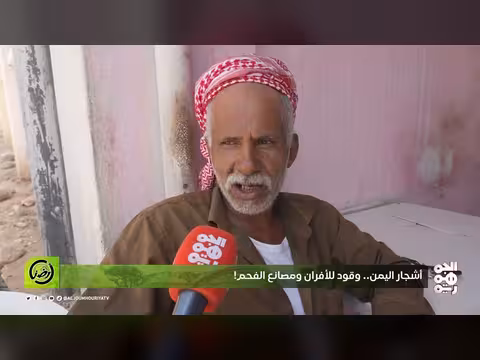 الاتجار بالأشجار.. جريمة تتحول إلى مهنة يومية