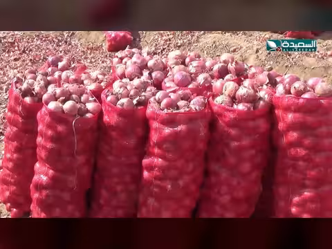 أزمة بصل في لحج
