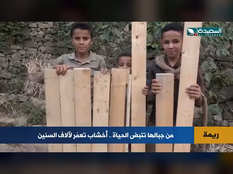 أخشاب رَيْمَة النادرة.. سر الصلابة التي تتحدى الزمن
