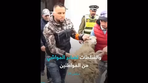 منع ذبح الأضاحي في المغرب: أسباب القرار وتداعياته
