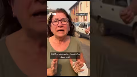 حرائق إسبانيا والبرتغال: جهود مكافحة موجة حر قياسية